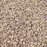 Pink Rice-Manipuri Rice-Chakhao Pink Rice 1 Kg Packs