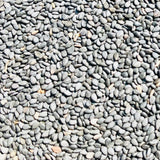 Natural Sesame Seeds For Oil Extraction