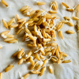 BPT 5204-Samba-Sona-Brown Paddy Seeds