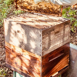 Cultured Honey-1 Kg Packs