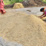 Desi Kulakar Red Paddy Seeds