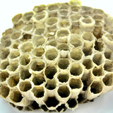 Stingless-Little Bee Raw Honey