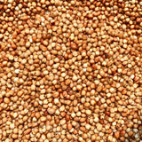 Red Sorghum Seeds-Lal Jowar-Yerra Jonnalu