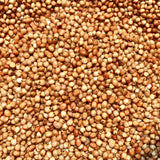 Red Sorghum Seeds For Cultivation-Lal Jowar-Yerra Jonnalu