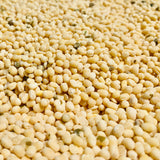 Naatu Thivva Minumu-Black Gram-Desi Latha Urad Dal-Unpolished