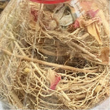 11 Araku Valley Roots For Hair Oil-1 Bottle