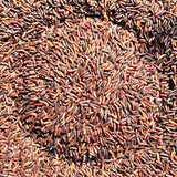 Organic Basmati Burma Black Rice