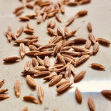 Natural Cumin Seeds-Jeera Beej-500 Grams