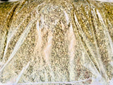 Raw Pumpkin Seeds-No Shell-Edible