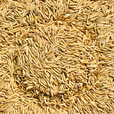 Pusa Basmati 1692 Paddy Seeds