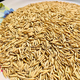 Pusa Basmati 1692 Paddy Seeds