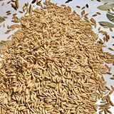 WGL 962 Paddy Seeds