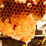Cultured Honey-1 Kg Packs