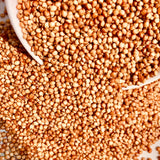 Red Sorghum Seeds-Lal Jowar-Yerra Jonnalu