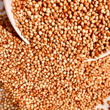 Red Sorghum Seeds For Cultivation-Lal Jowar-Yerra Jonnalu