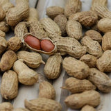 ManaVelugu Cold Pressed Nut Oil Pressed Groundnut Oil