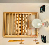 GoneFarmers 60-Egg Automatic Egg Incubator | Digital Temperature Control & Automatic Egg Turning | Poultry Hatching Machine