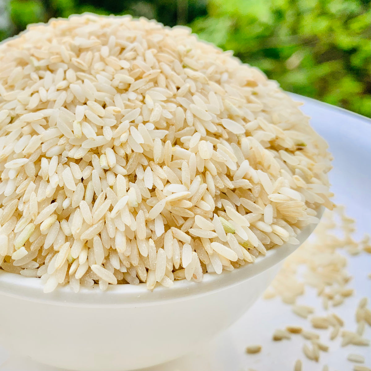 Malekized Rice Mysore Mallige Rice-Jasmine Rice-Kannada-1 Kg – Vintage Farmers