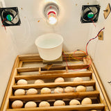 GoneFarmers 60-Egg Automatic Egg Incubator | Digital Temperature Control & Automatic Egg Turning | Poultry Hatching Machine