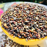 Magic 3 Green Manure Seed Mix