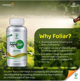 GoneFarmer's Gromor Nano DAP – Liquid Nano Fertilizer (1 Litre)