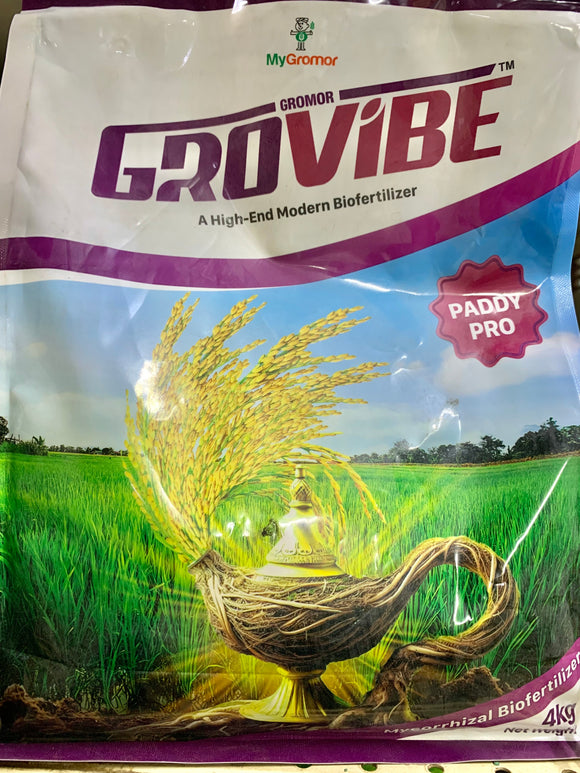 MyGromor GROVIBE (Paddy Pro) - High-End Mycorrhizal Biofertilizer for Paddy