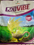 MyGromor GROVIBE (Paddy Pro) - High-End Mycorrhizal Biofertilizer for Paddy