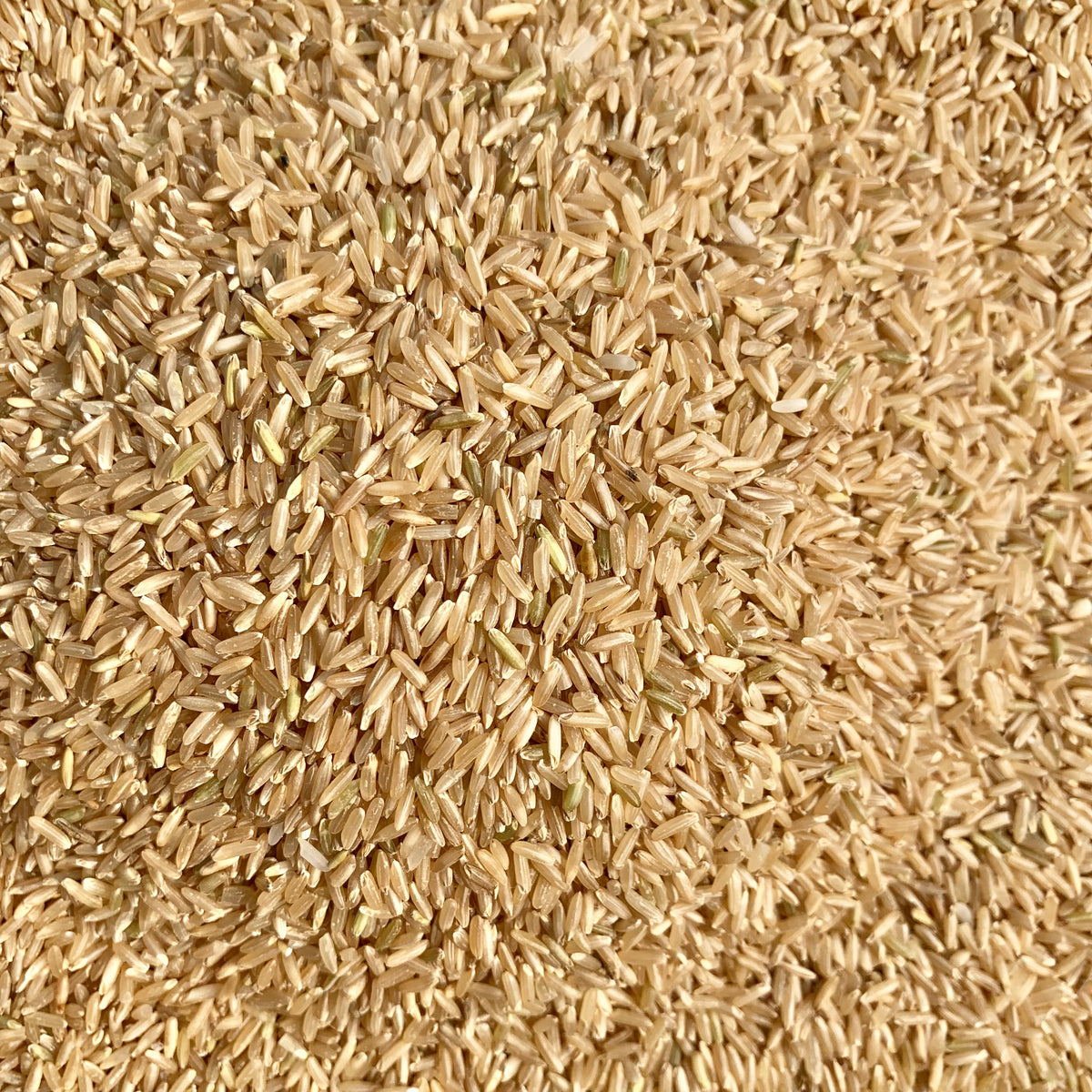 Diafit Brown Rice-Sugarless Brown Rice – Vintage Farmers