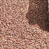 Mapillai Samba Traditional Red Rice (Heirloom Variety)