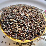 Magic 3 Green Manure Seed Mix