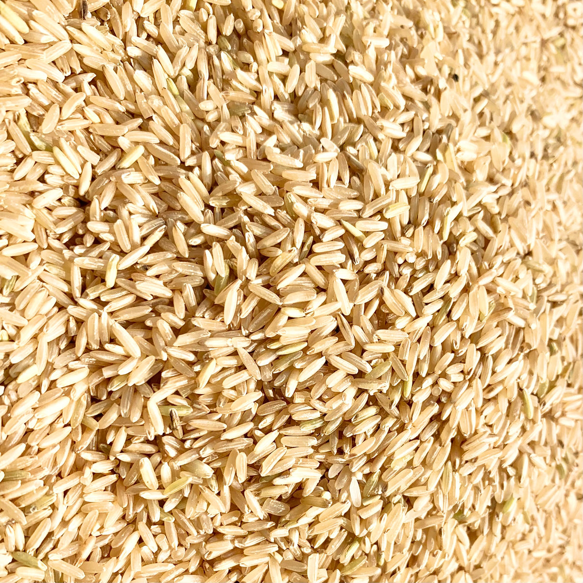 Diafit Brown Rice-Sugarless Brown Rice – Vintage Farmers