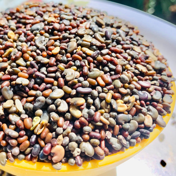 Magic 3 Green Manure Seed Mix