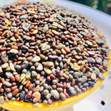 Magic 3 Green Manure Seed Mix