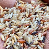 Nava Rathna Rice-Raw Semi Polished-2 Years Old