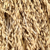 Gobindh Bhog-Aromatic-Scented Paddy Seeds