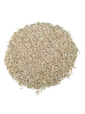KNM-1638 Climate-Resilient Paddy Seeds | High Yield Early Duration