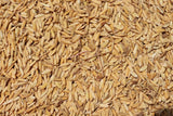 KNM-733 Paddy Seeds | High Yield Fine Grain Rice Variety