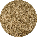 KNM-7715 Paddy Seeds | High Yield Fine Grain Rice Variety