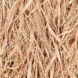 WGL-44 SIDDHI Paddy Seeds | Fine Grain Rice Variety