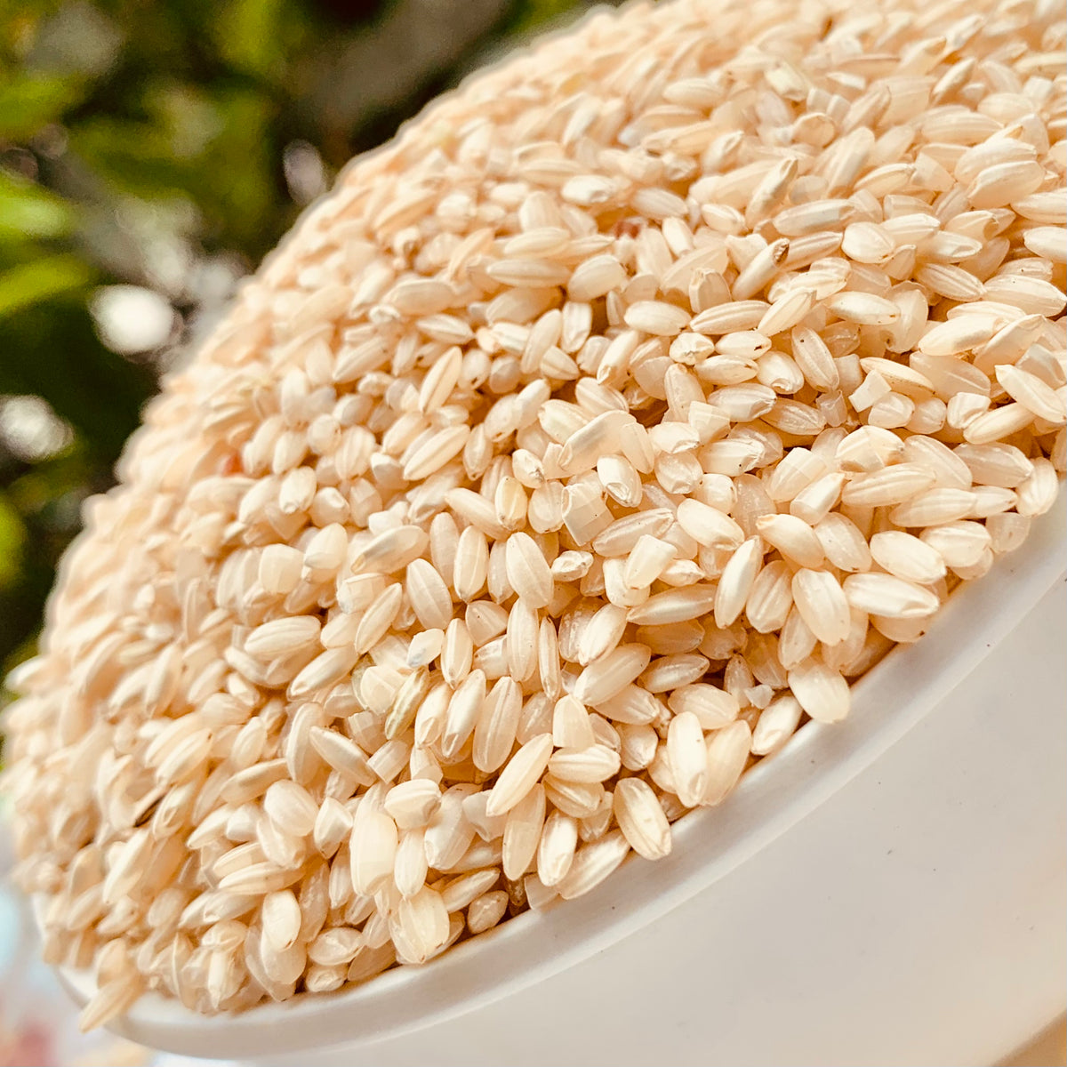 Unpolished Bahurupi Rice-Native-Desi Rice – Vintage Farmers