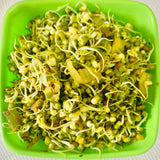 Green Gram Seeds-For Cultivation