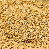 Indrayani Paddy Seed-Desi Lengthy Paddy