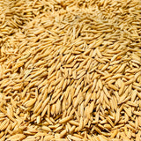 Indrayani Paddy Seed-Desi Lengthy Paddy