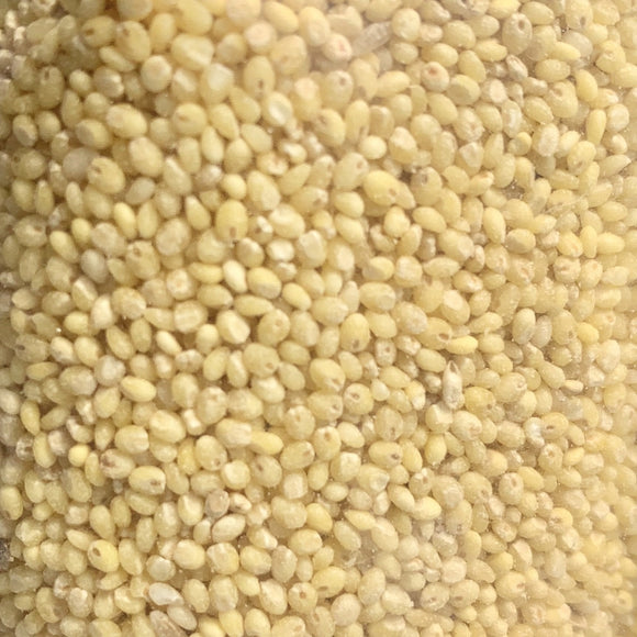 Proso Millet Flour Varigelu Pindi Vintage Farmers Proso Millet Flour Varigelu Pindi Vintage Farmers