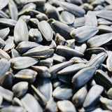 Hulled Natural SunFlower Seeds-Edible 250 Grams