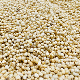 White Sorghum Seeds For Cultivation-Jowar-Jonnalu