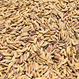 Pink Rice-Manipuri Rice-Chakhao Pink Rice 1 Kg Packs