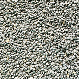 Sesame Seeds-Edible