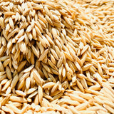 MTU-1282 Paddy Seeds-Andhra Pradesh
