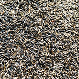 Niger Seed Oil-Verri Nuvvula Noone